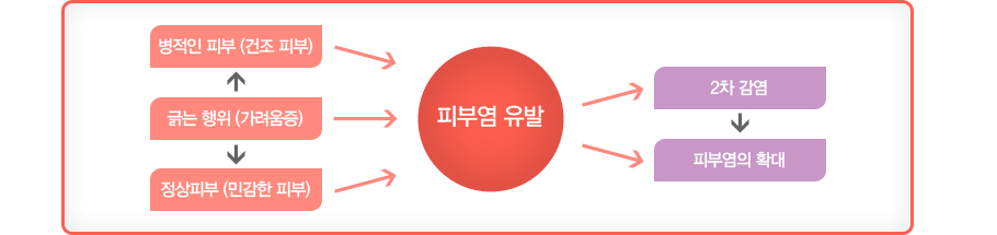 ܴ () ,  Ǻ( Ǻ) , Ǻ(ΰ Ǻ)  Ǻο   2  Ǻο Ȯ